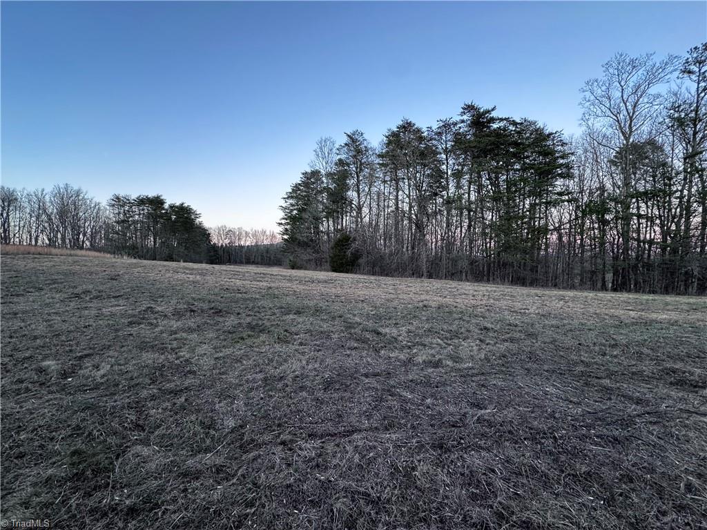 Lot 6 Johnson Road King, NC 27021 - Photo 9 of 21
