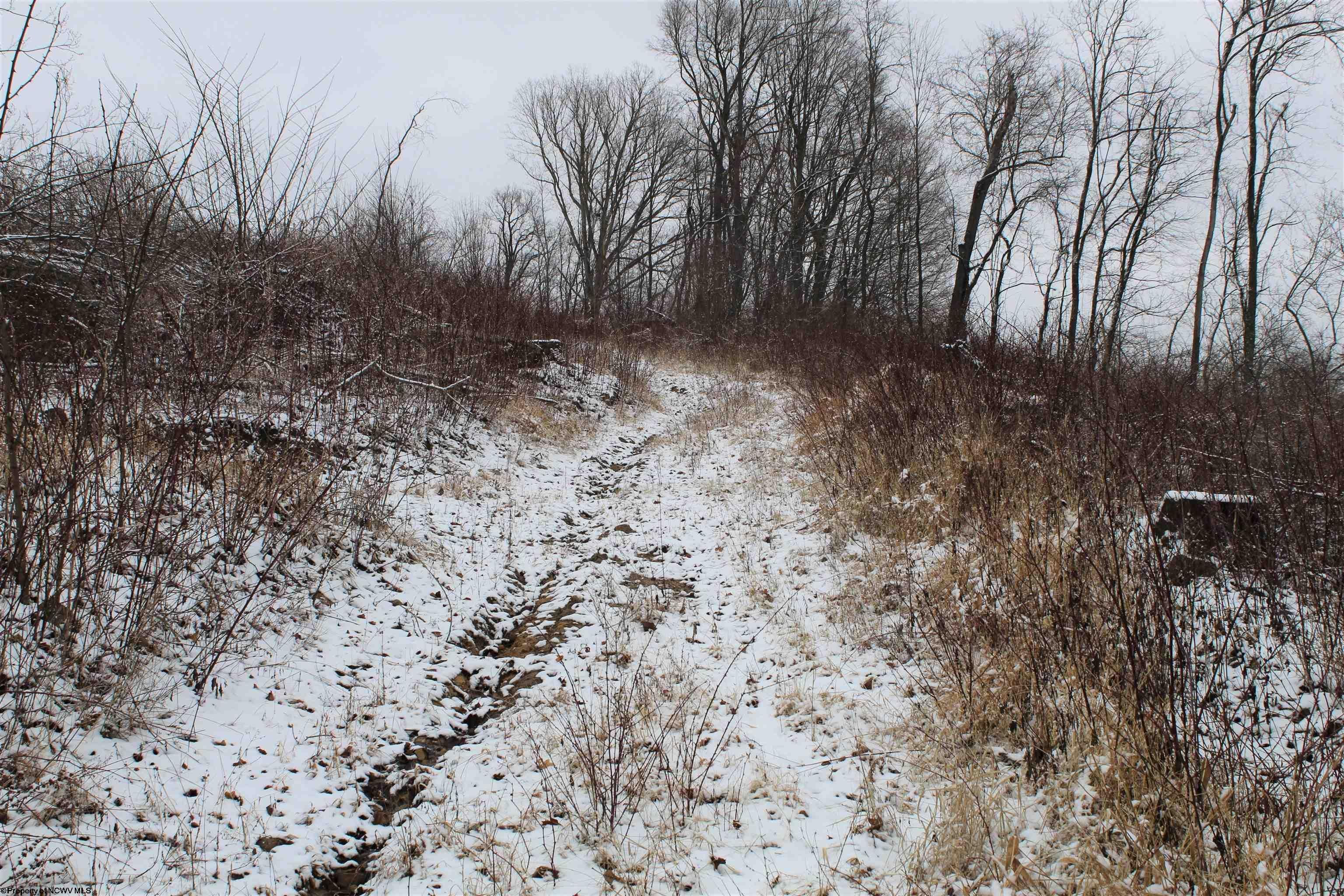 7-acres Coal Lick Road Albright, WV 26519 - Photo 4 of 10 Gallery Image 4