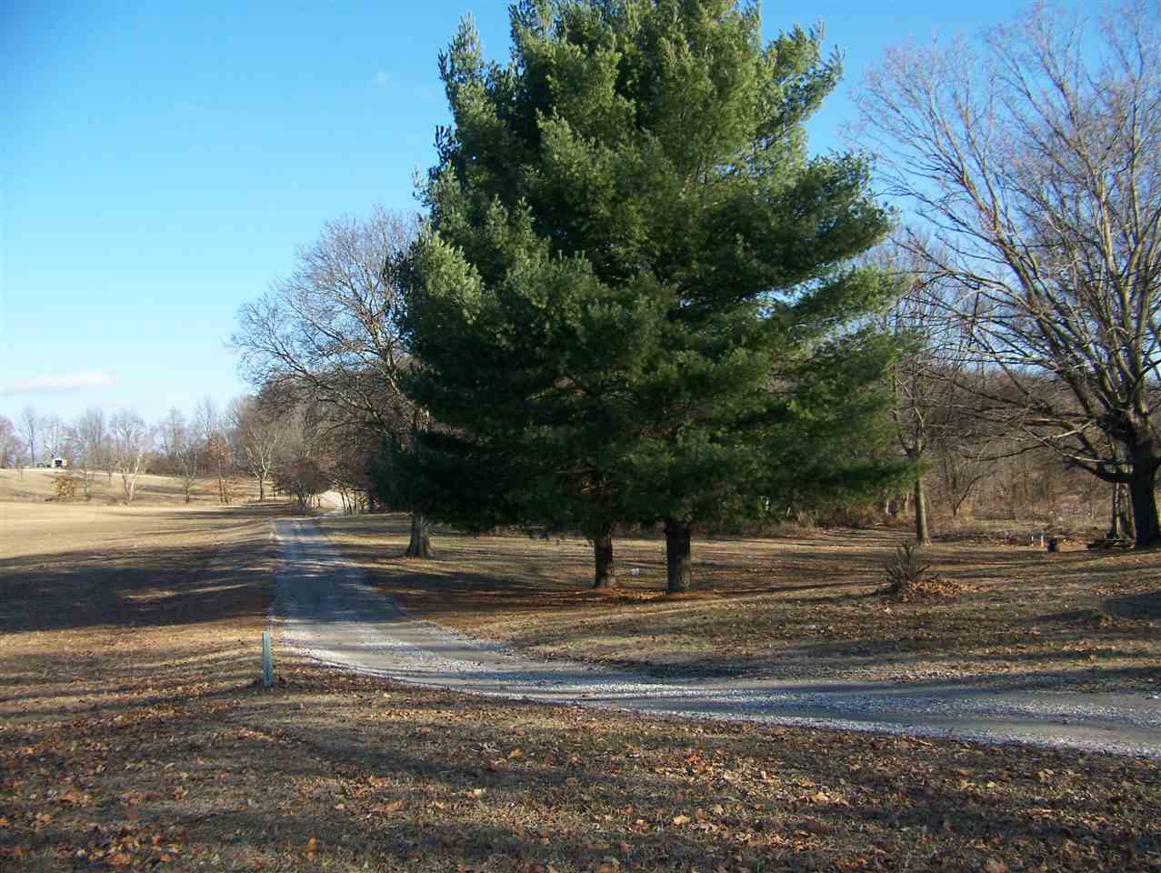 1640 Lee Road New Harmony, IN 47631 - Photo 9 of 34 Gallery Image 9