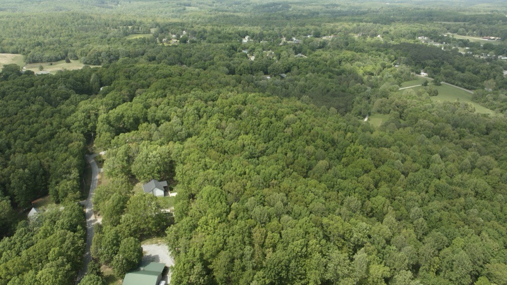 0 Pilot Lane Lyles, TN 37098 - Photo 8 of 12 a view of a field of grass and trees