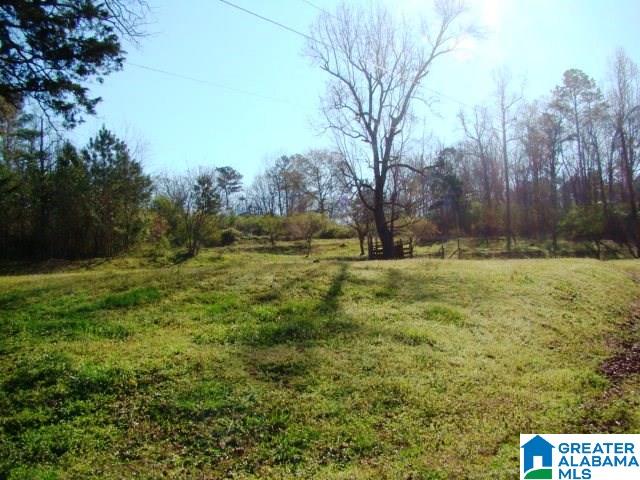 678 Old Sulphur Springs Road, Unit 2 Wellington, AL 36279 - Photo 1 of 11