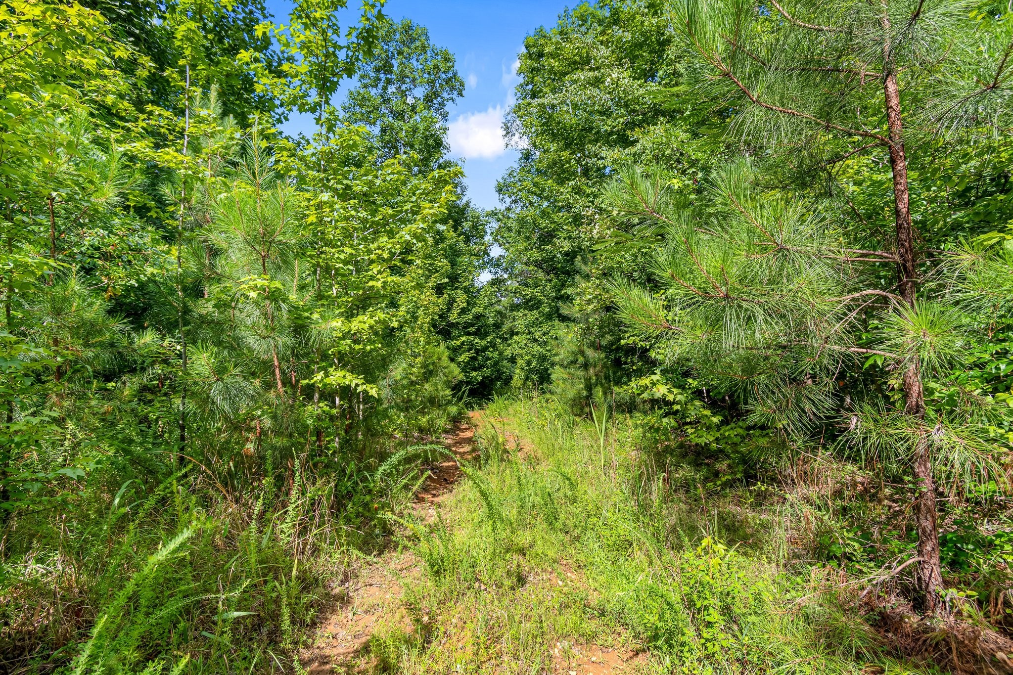 0 Hargis Road Camden, TN 38320 - Photo 25 of 36 Gallery Image 25