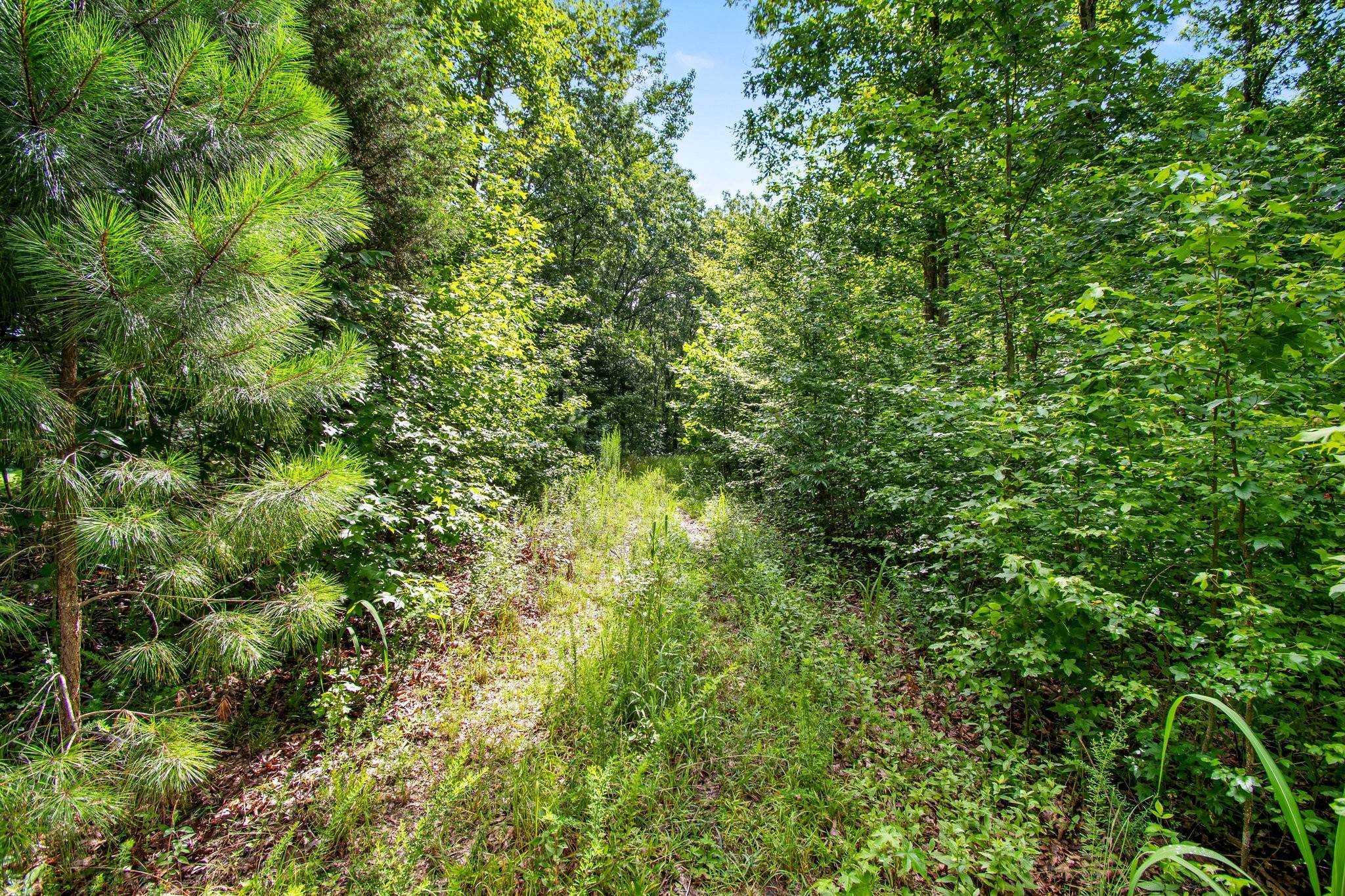 0 Hargis Road Camden, TN 38320 - Photo 28 of 36 Gallery Image 28