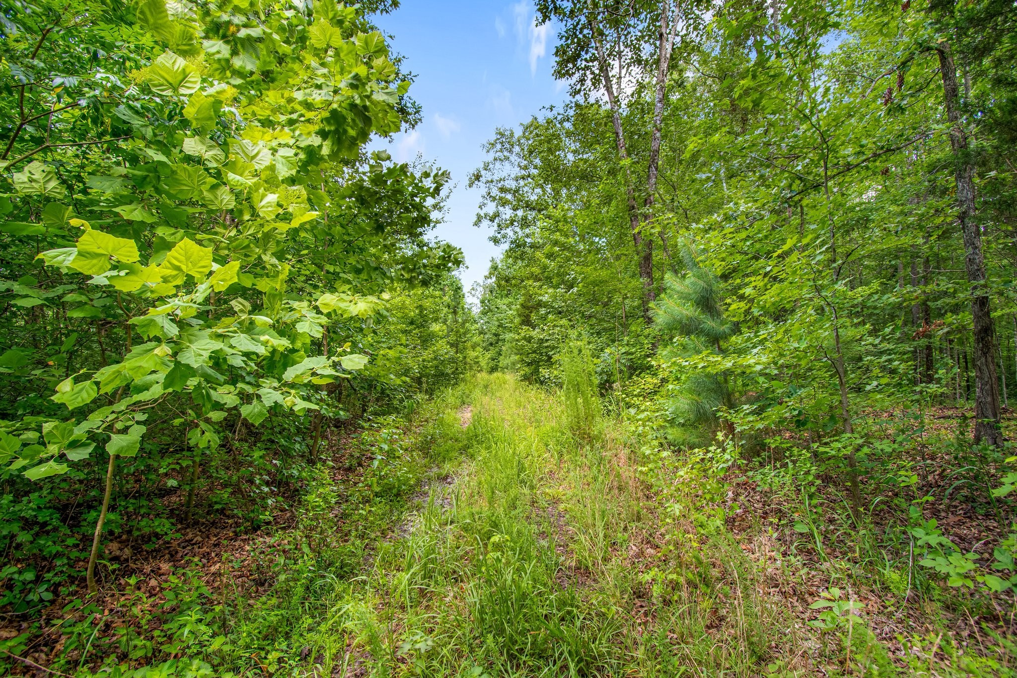 0 Hargis Road Camden, TN 38320 - Photo 29 of 36 Gallery Image 29