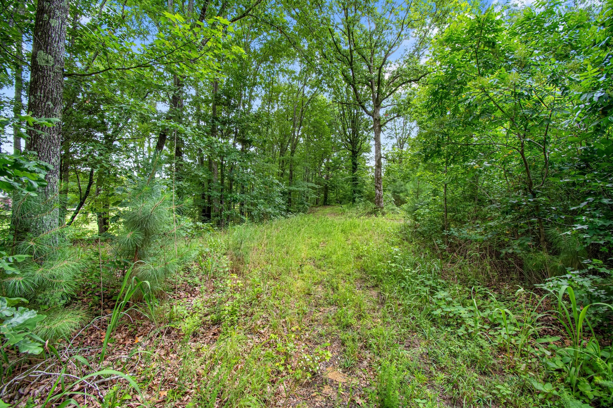 0 Hargis Road Camden, TN 38320 - Photo 30 of 36 Gallery Image 30