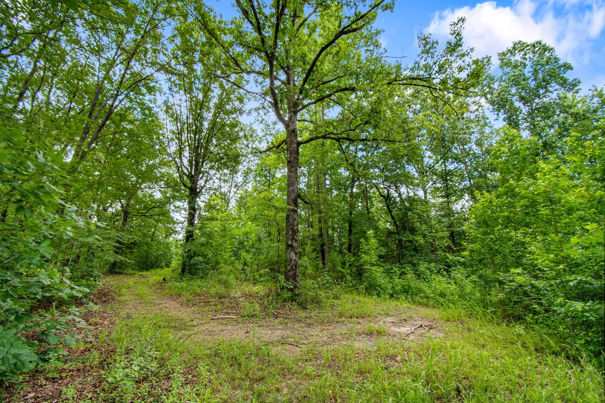 0 Hargis Road Camden, TN 38320 - Photo 31 of 36 Gallery Image 31
