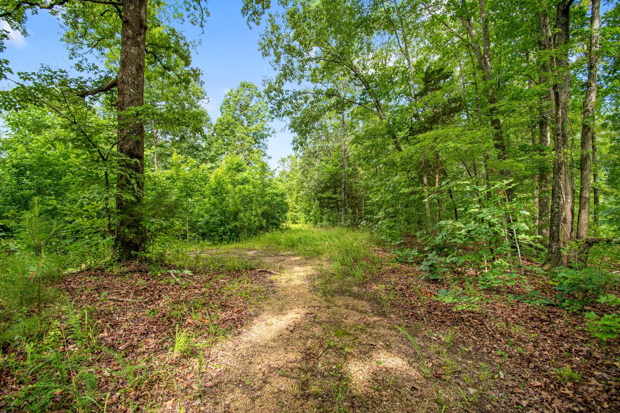 0 Hargis Road Camden, TN 38320 - Photo 33 of 36 Gallery Image 33