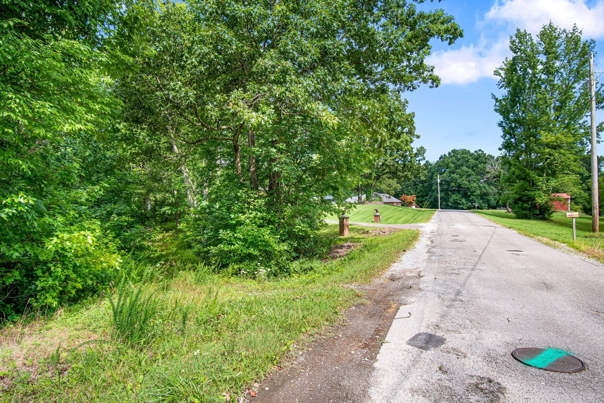 0 Hargis Road Camden, TN 38320 - Photo 5 of 36 Gallery Image 5