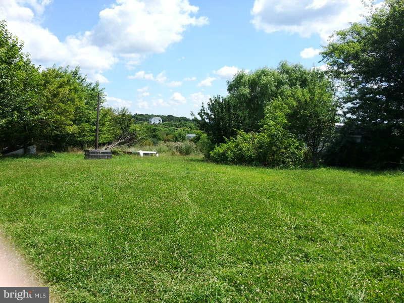 3355 Apple Pie Ridge Road Winchester, VA 22603 - Photo 26 of 29 a view of yard with green space