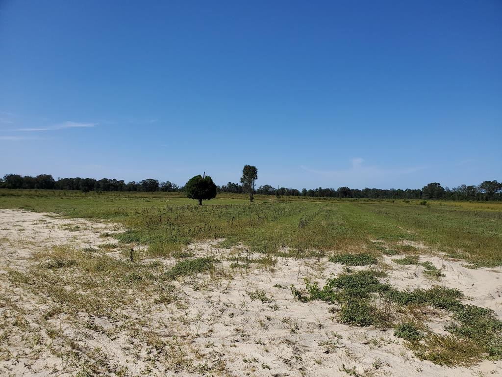 0 Heritage Road Williston, SC 29853 - Photo 1 of 3