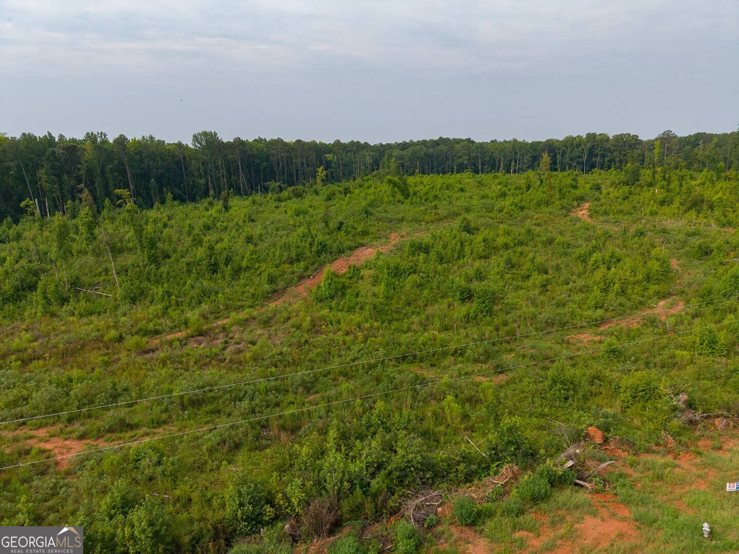 Lot 17 Haley Road Jackson, GA 30233 - Photo 2 of 3 Gallery Image 2