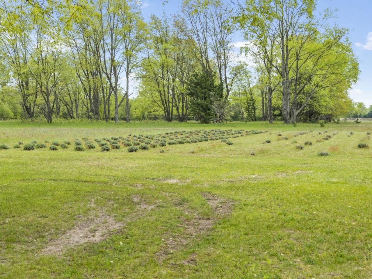 3733 South Reynolds Road Thompsonville, MI 49683 - Photo 18 of 42 Gallery Image 18