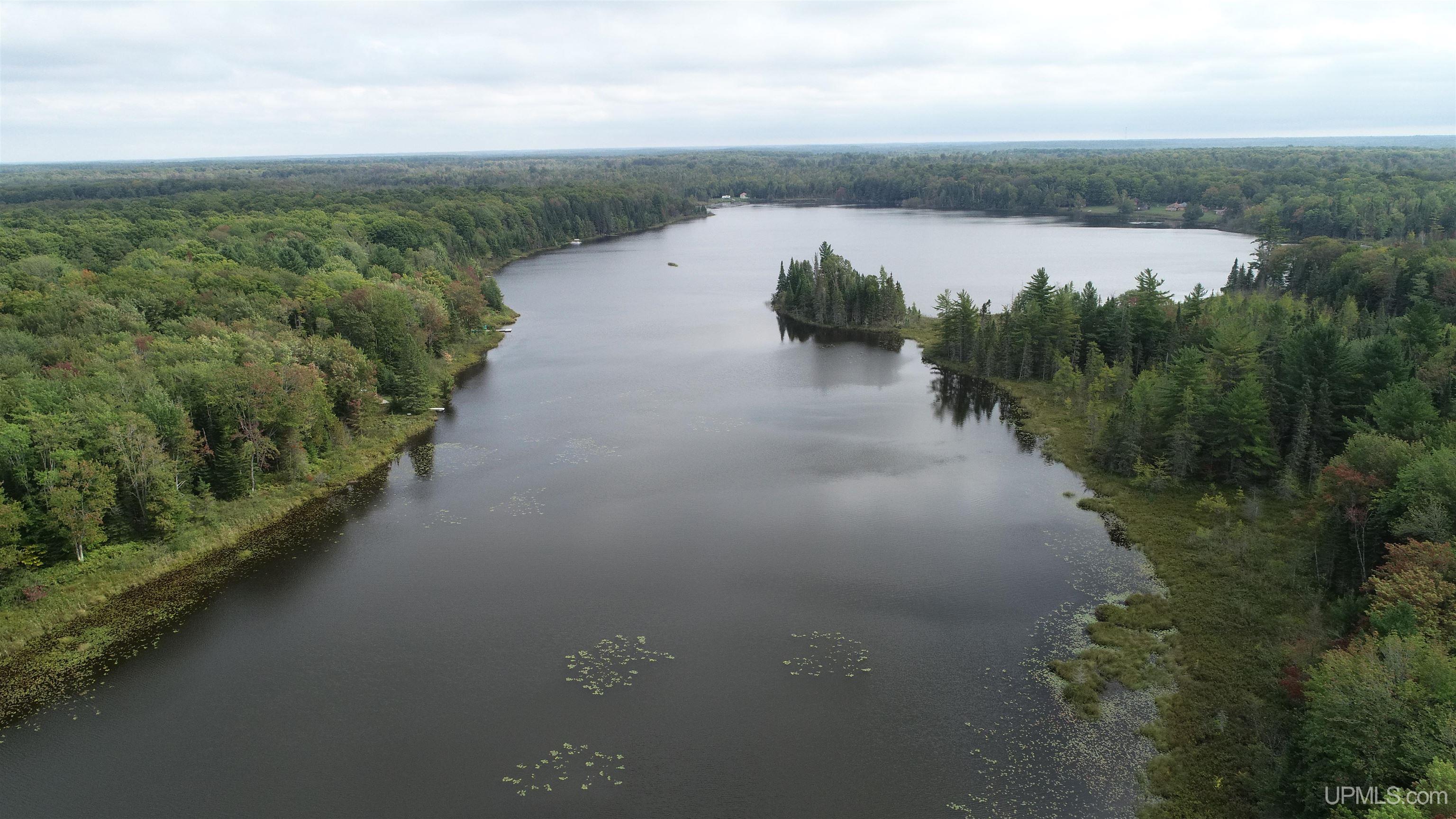Tbd North Tbd N Powerline Road Germfask, MI 49836 - Photo 24 of 29