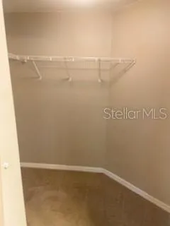 a view of a park with large trees