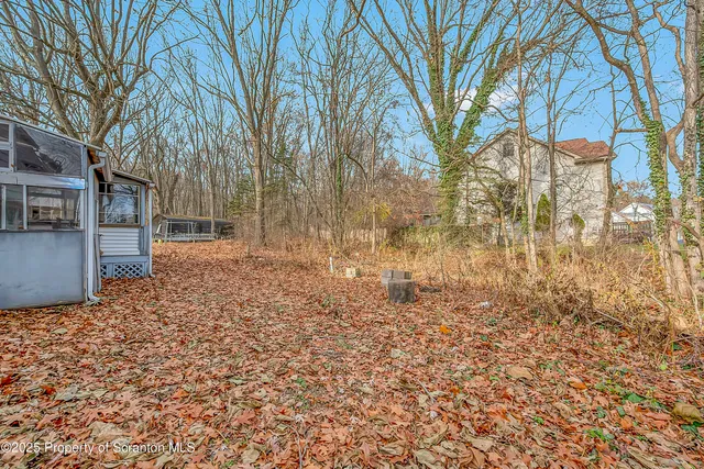 a view of house with backyard and trees
