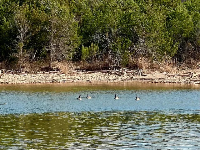 $1,078,000 | 105 Breding Road, Graford, TX 76449