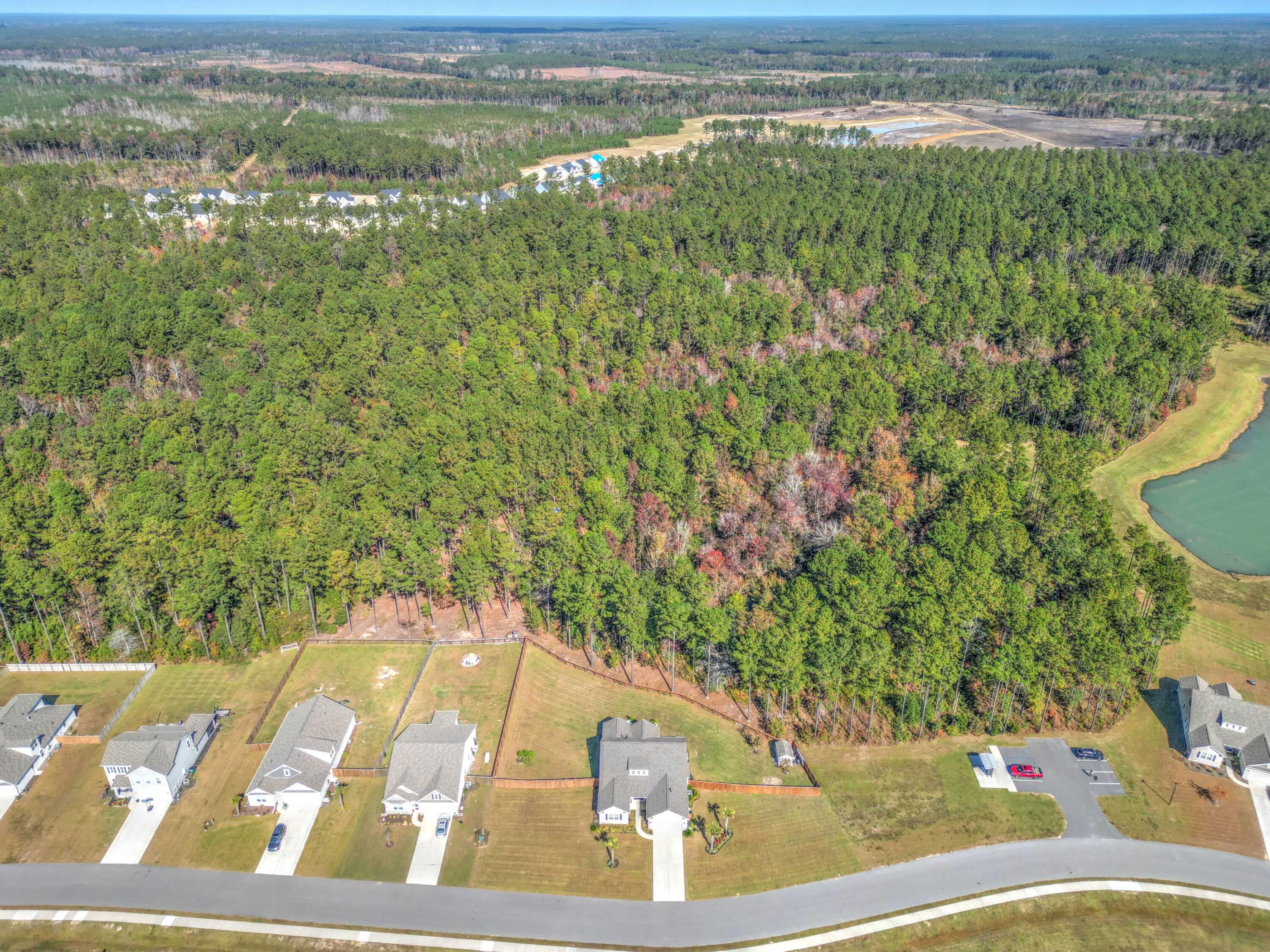 1090 Wading Point Boulevard Huger, SC 29450 - Photo 48 of 63 drone