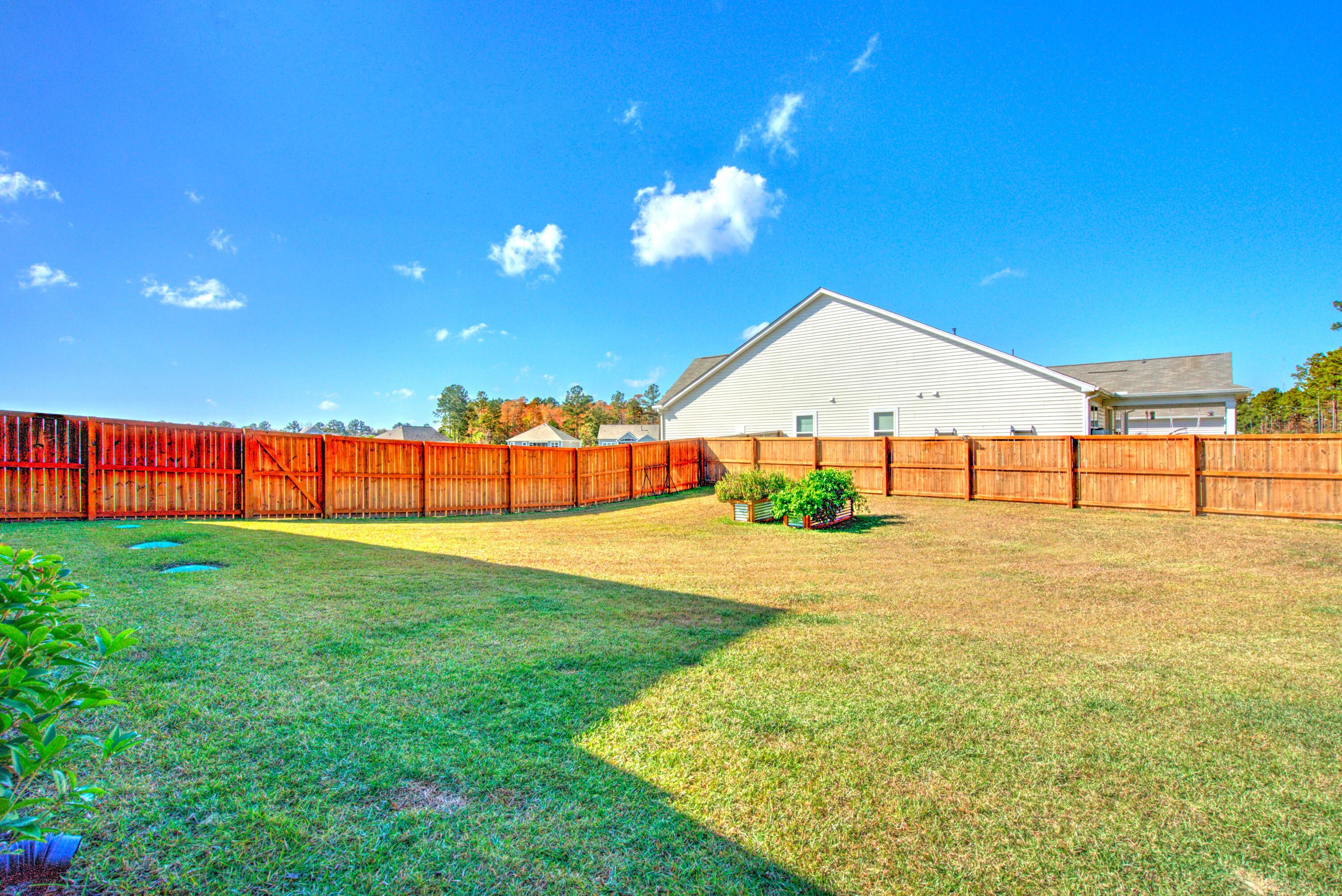 1090 Wading Point Boulevard Huger, SC 29450 - Photo 54 of 63 backyard (1)
