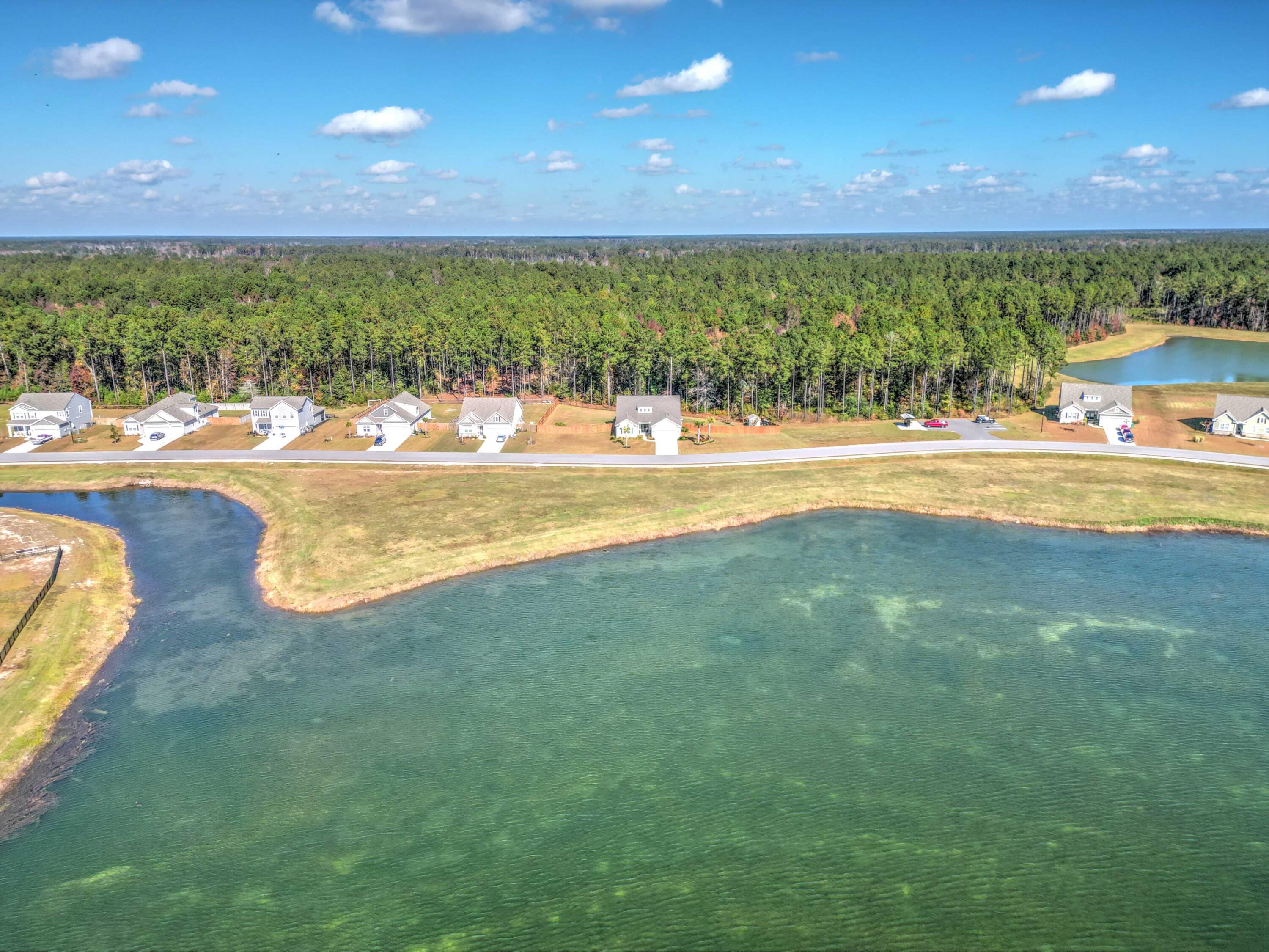 1090 Wading Point Boulevard Huger, SC 29450 - Photo 60 of 63 drone (2)
