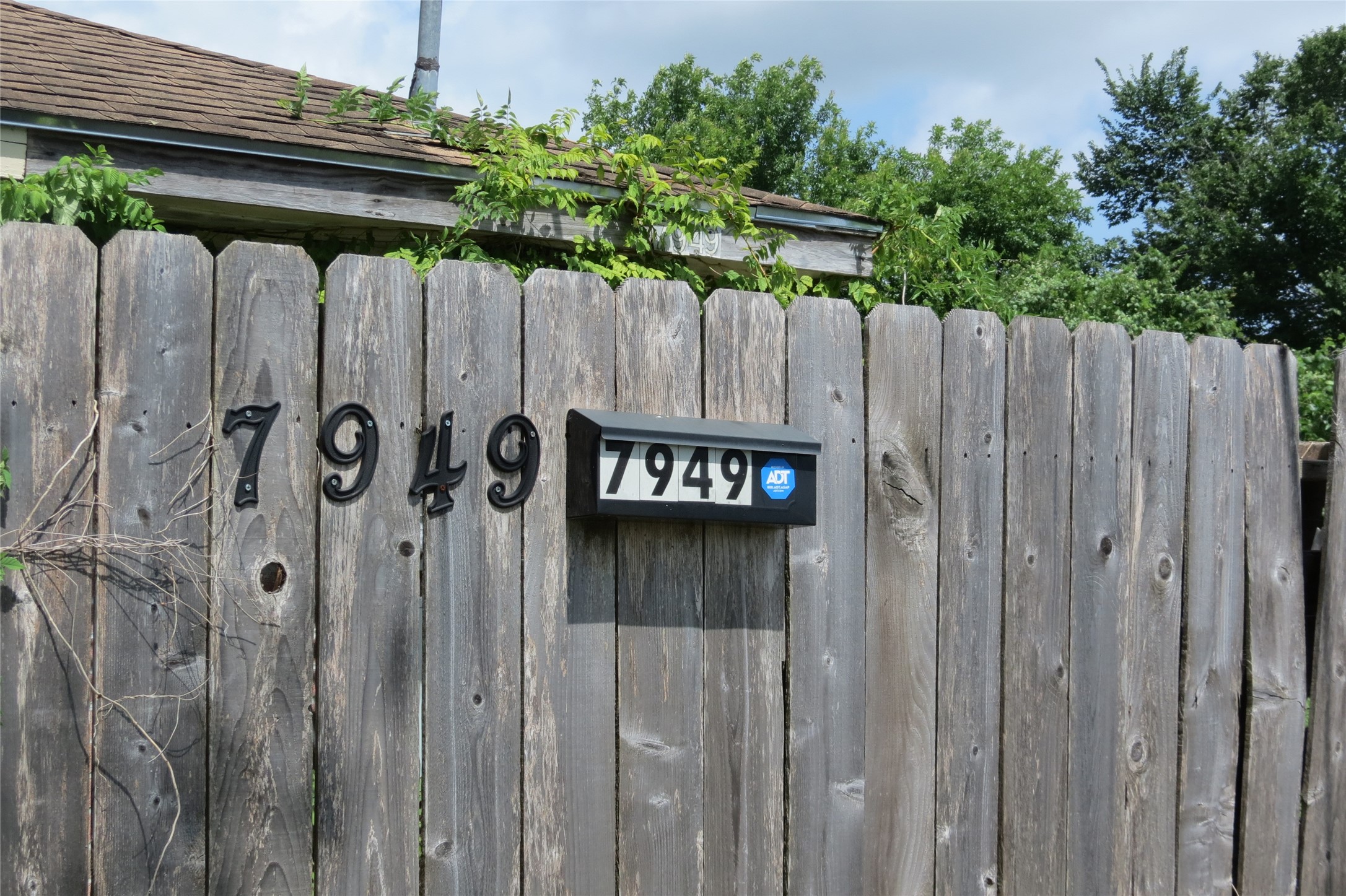 a view of outdoor space with wooden wall