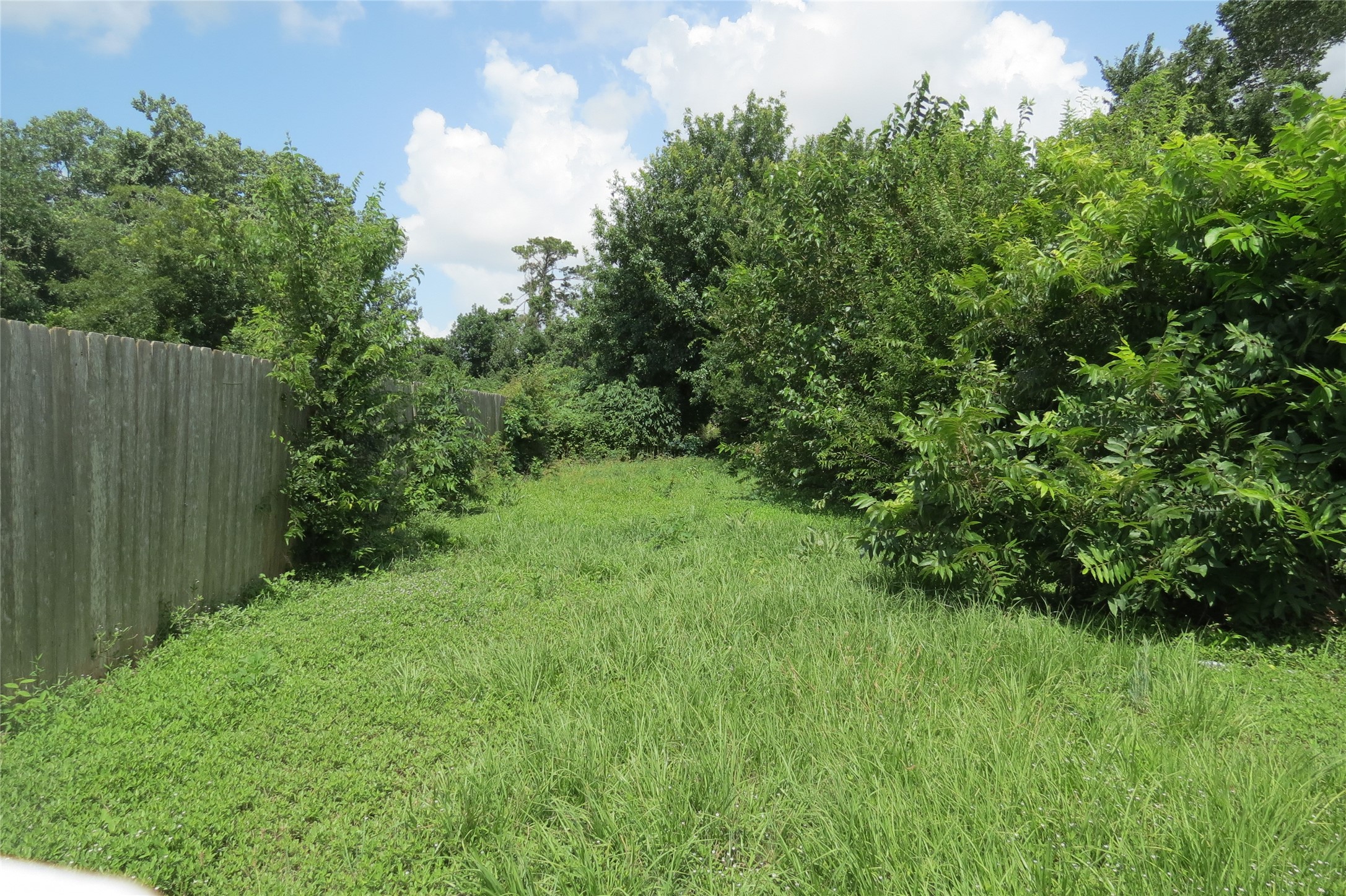 7949 Lockwood Drive Houston, TX 77016 - Photo 12 of 28 a view of a lush green space