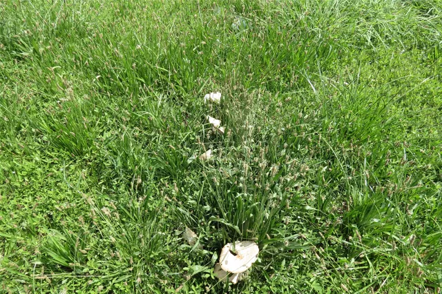 $1,550 | 7949 Lockwood Drive, Houston, TX 77016