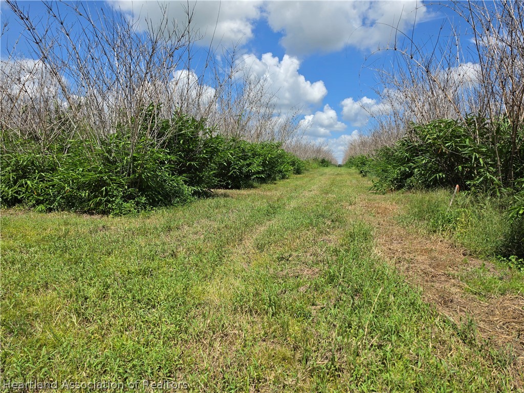 0 West St Road Wauchula, FL 33873 - Photo 13 of 24