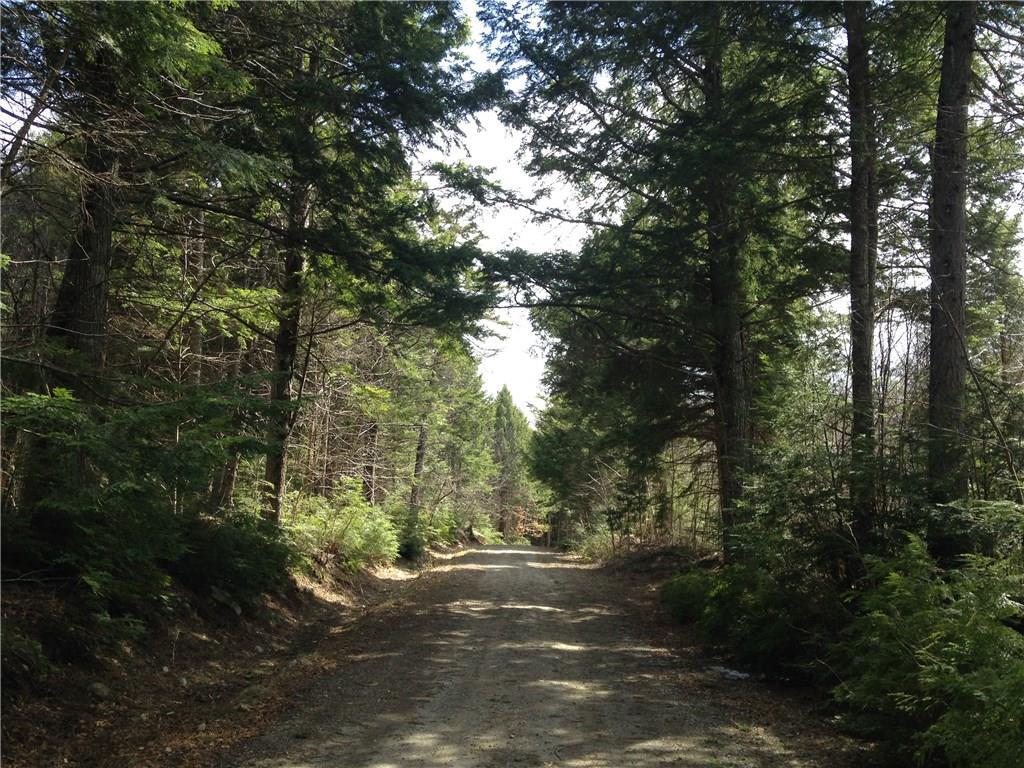 700 Madagascal Pond Road Burlington, ME 04417 - Photo 2 of 33 Road