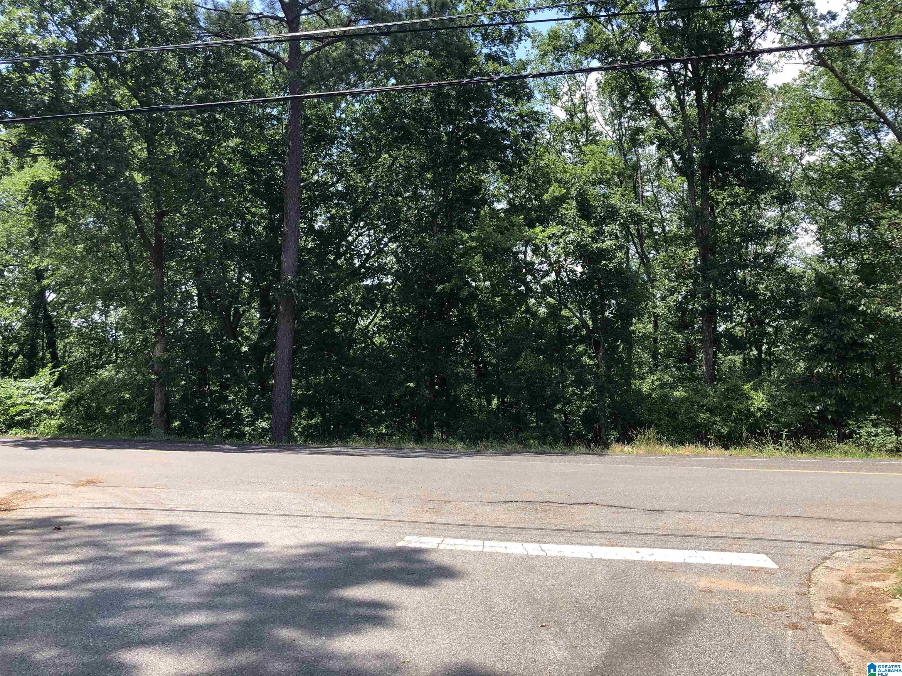 3996 South Shades Crest Road, Unit LOT A Birmingham, AL 35244 - Photo 1 of 1