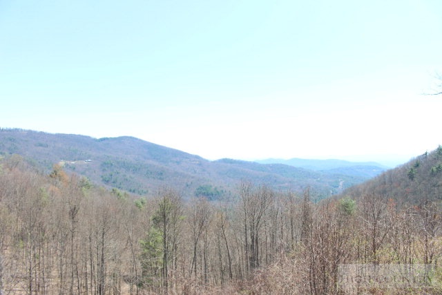 1824 Benge Ashe Road Purlear, NC 28665 - Photo 13 of 22 a view of a dry field with tall trees