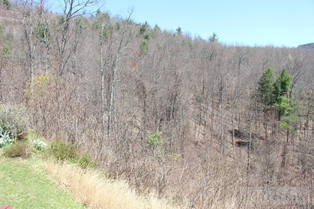 1824 Benge Ashe Road Purlear, NC 28665 - Photo 17 of 22 a view of a forest with a house in the background