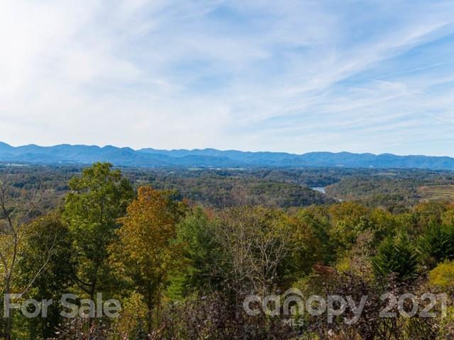 50 Running Ridge Road Asheville, NC 28804 - Photo 3 of 4 Gallery Image 3