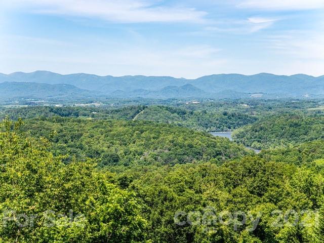 50 Running Ridge Road Asheville, NC 28804 - Photo 4 of 4 Gallery Image 4