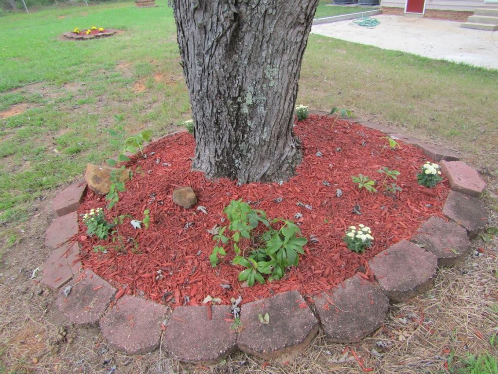 4420 Preacher Holmes Road Graham, NC 27253 - Photo 21 of 23 Gallery Image 21