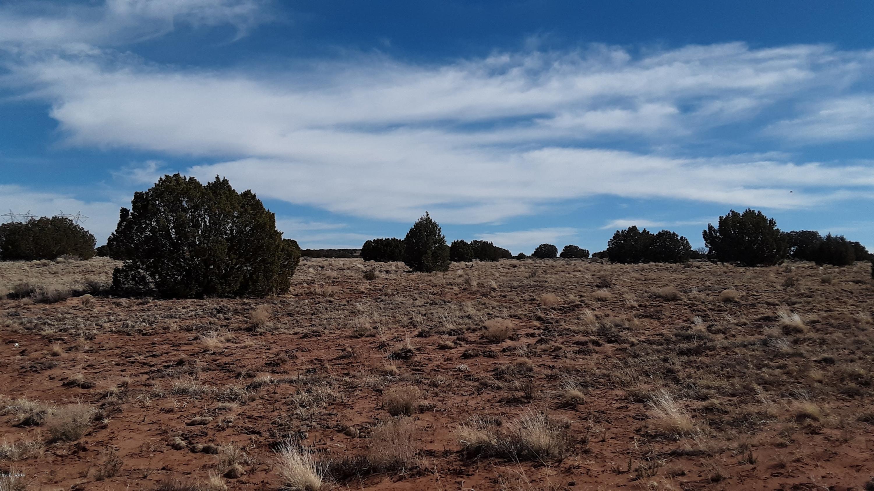 9211 ( Lomas Road Concho, AZ 85924 - Photo 11 of 19