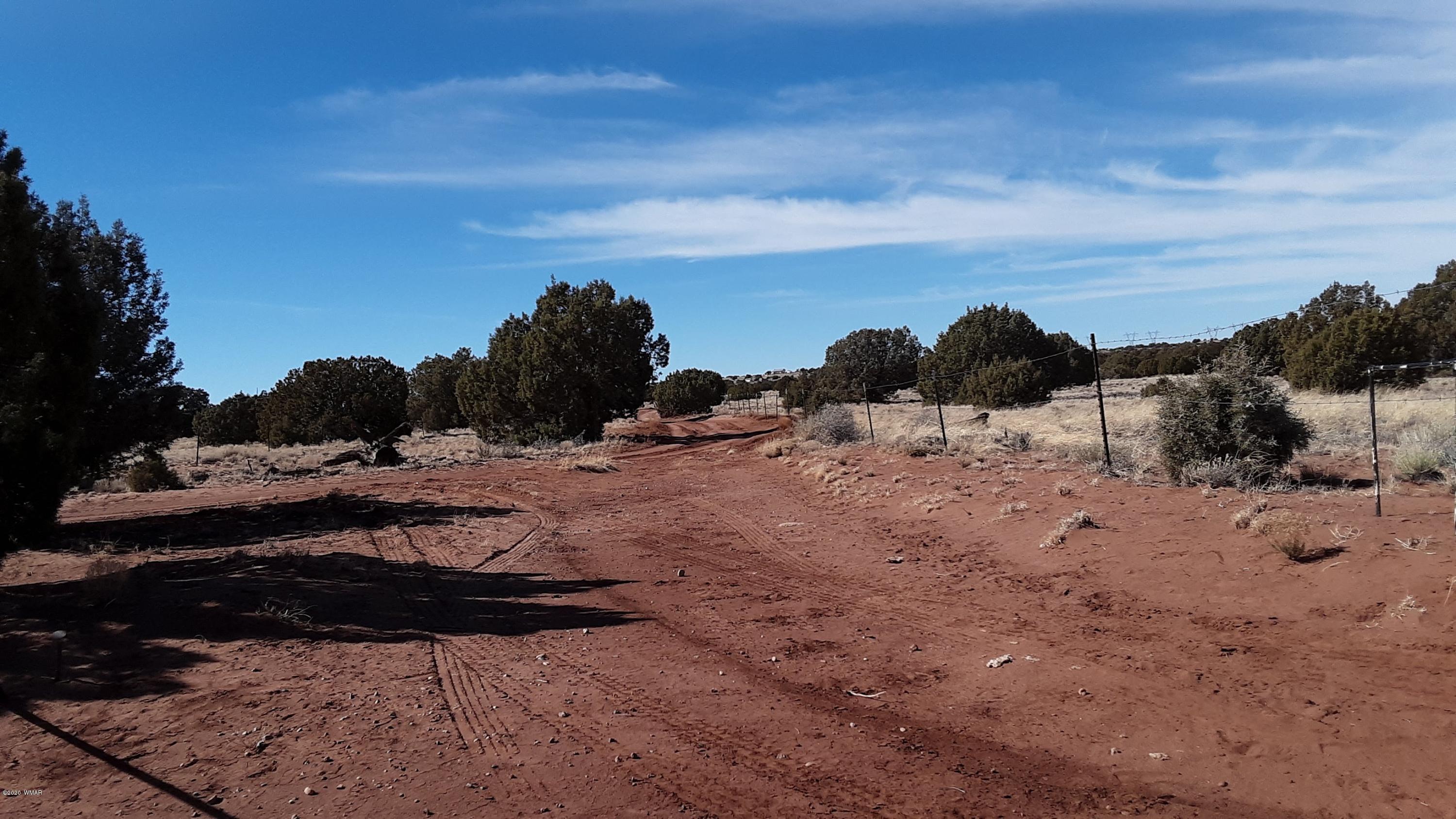 9211 ( Lomas Road Concho, AZ 85924 - Photo 15 of 19