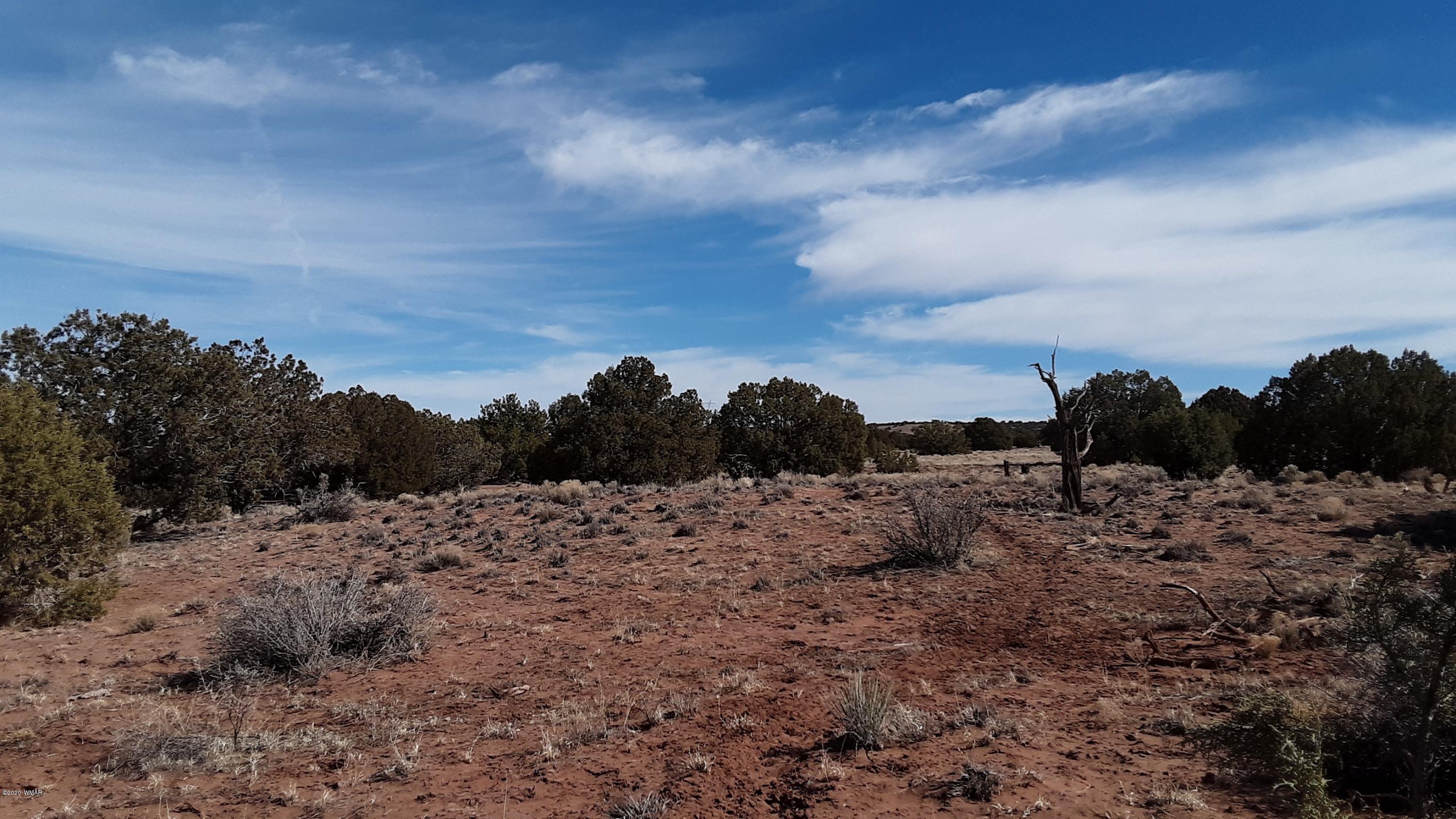 9211 ( Lomas Road Concho, AZ 85924 - Photo 16 of 19