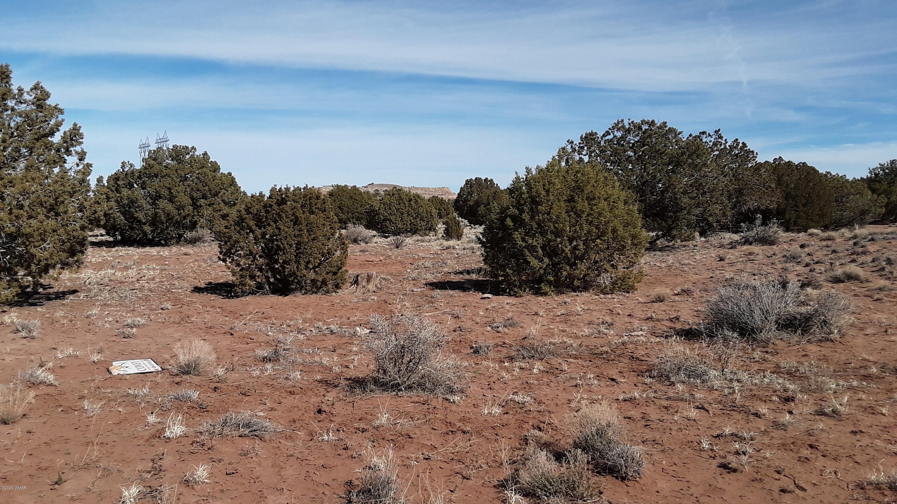 9211 ( Lomas Road Concho, AZ 85924 - Photo 17 of 19