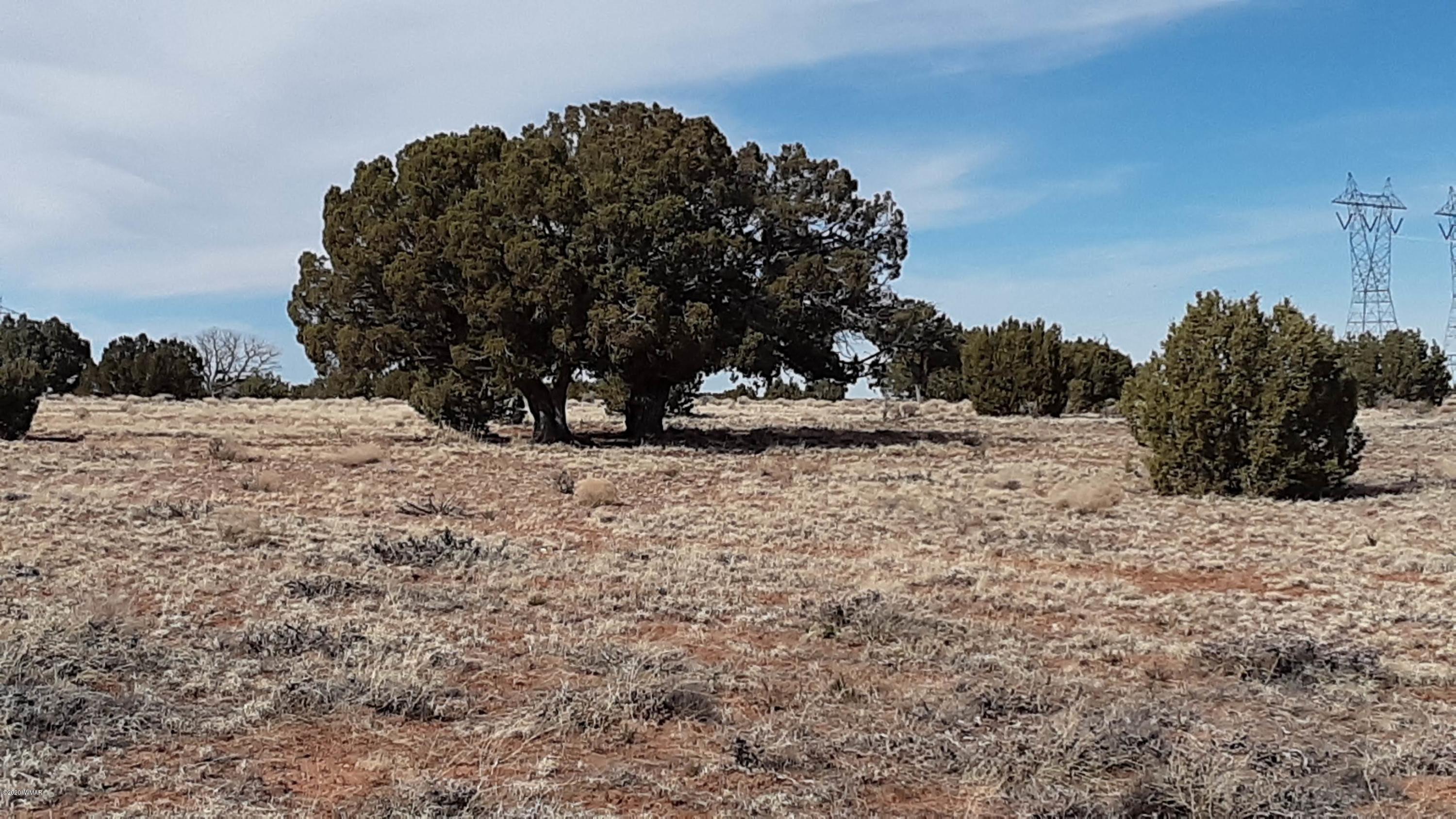 9211 ( Lomas Road Concho, AZ 85924 - Photo 2 of 19