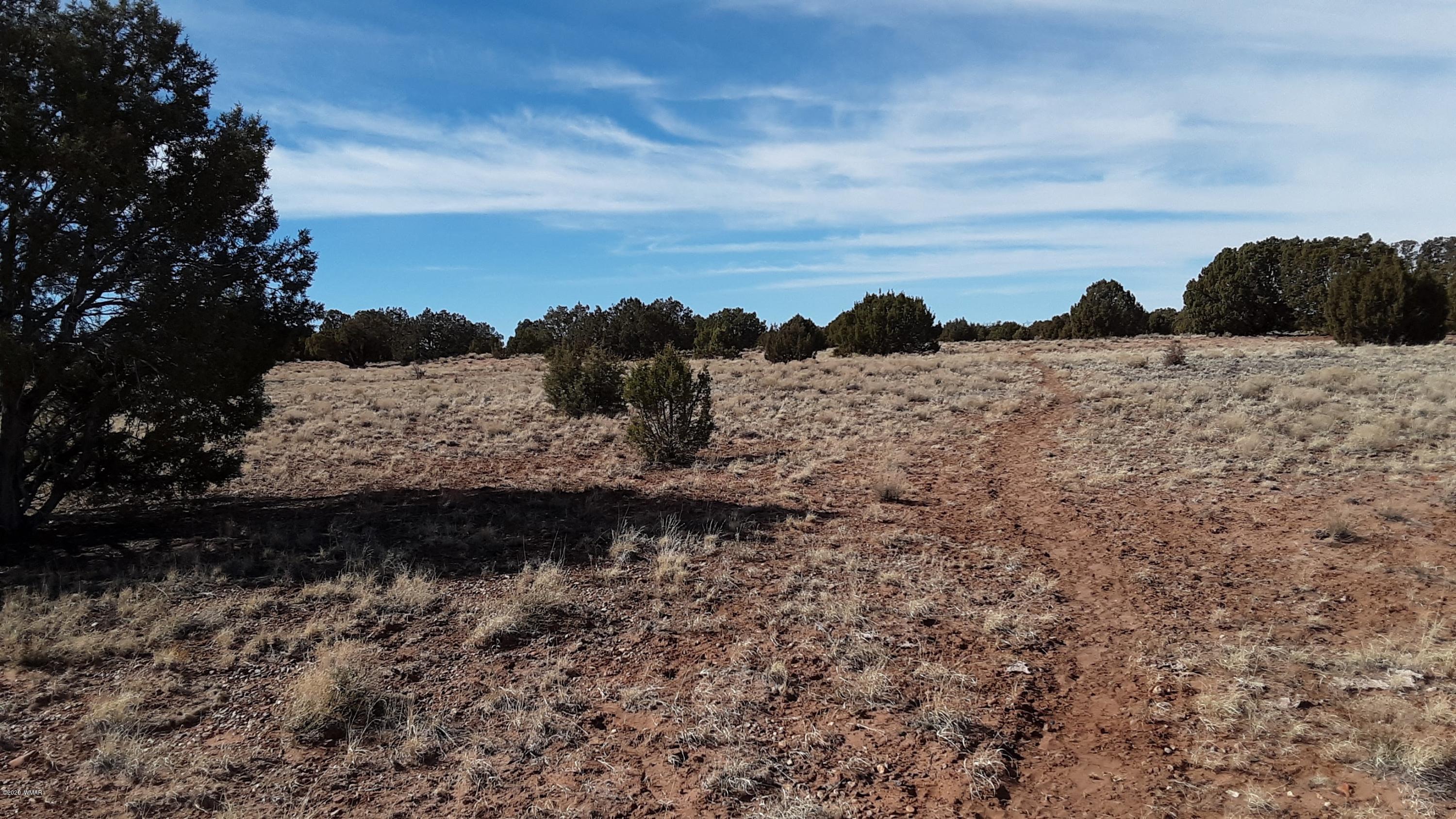 9211 ( Lomas Road Concho, AZ 85924 - Photo 4 of 19