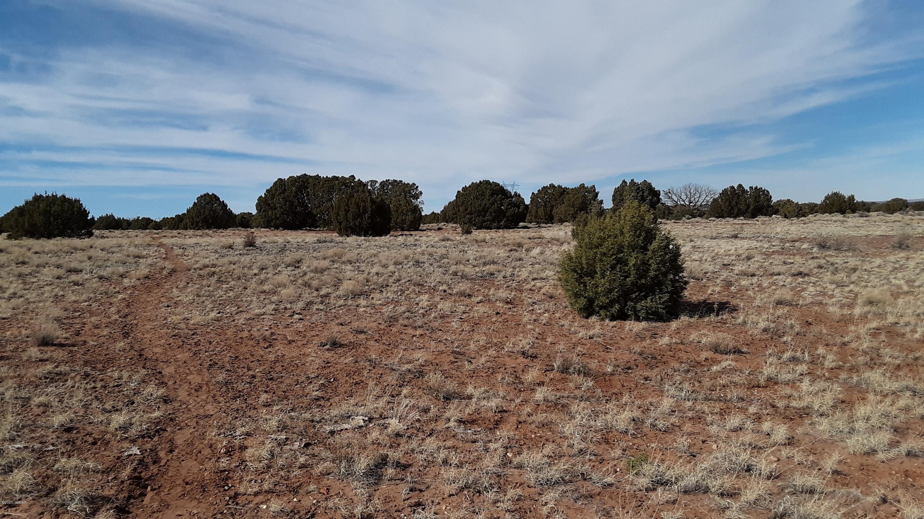 9211 ( Lomas Road Concho, AZ 85924 - Photo 5 of 19