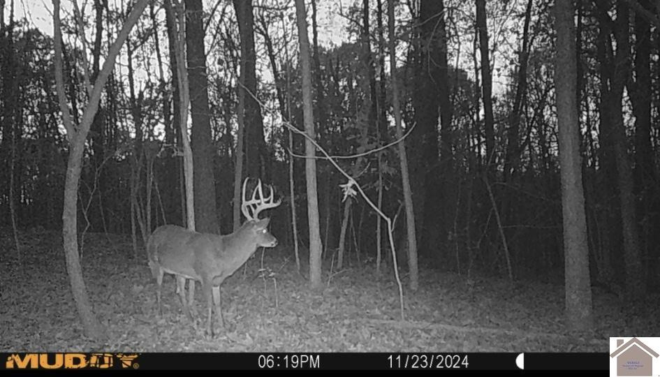 0 Corinth Church Road Grand Rivers, KY 42045 - Photo 46 of 49 Photo 46