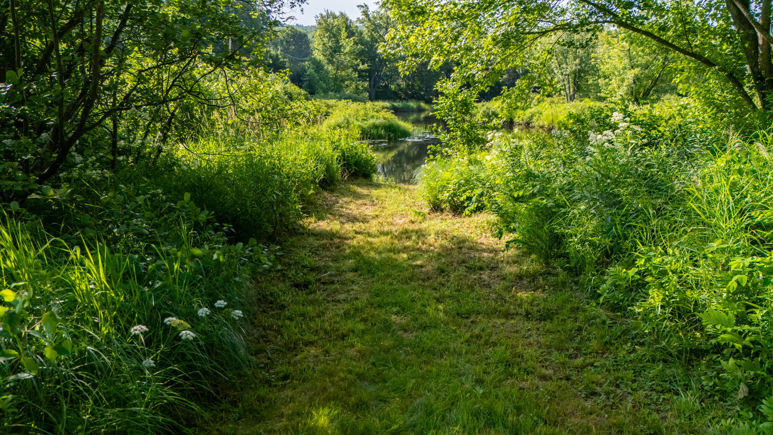 266 Pond Brook Road Andover, ME 04216 - Photo 30 of 33 Path to Water