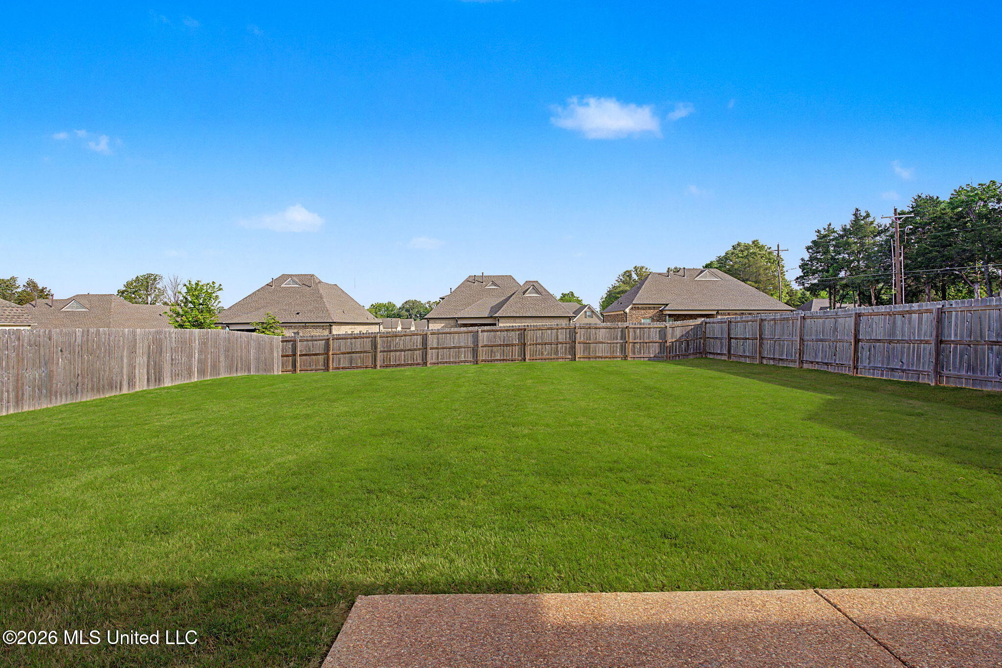 514 Abey Lane Hernando, MS 38632 - Photo 23 of 23 Back Yard