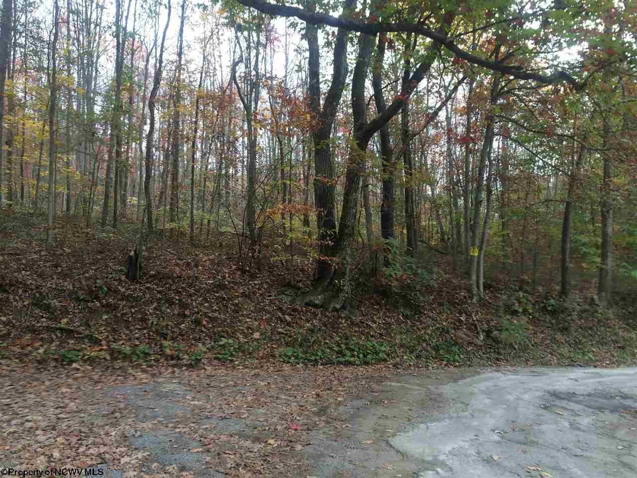 Tbd Tbd Ridge Masontown, WV 26542 - Photo 3 of 11 Gallery Image 3