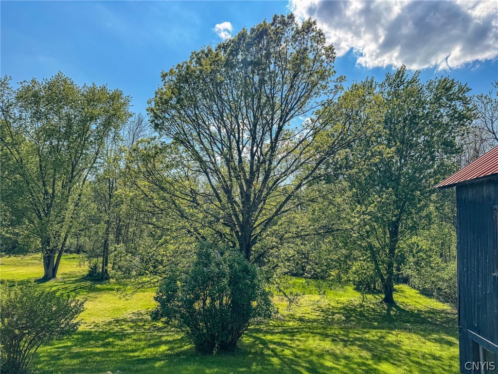 7383 Powers Road Throop, NY 13021 - Photo 11 of 31