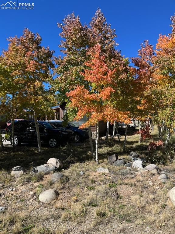 65 Sunshine Loop Fairplay, CO 80440 - Photo 50 of 50 Autumn Colors