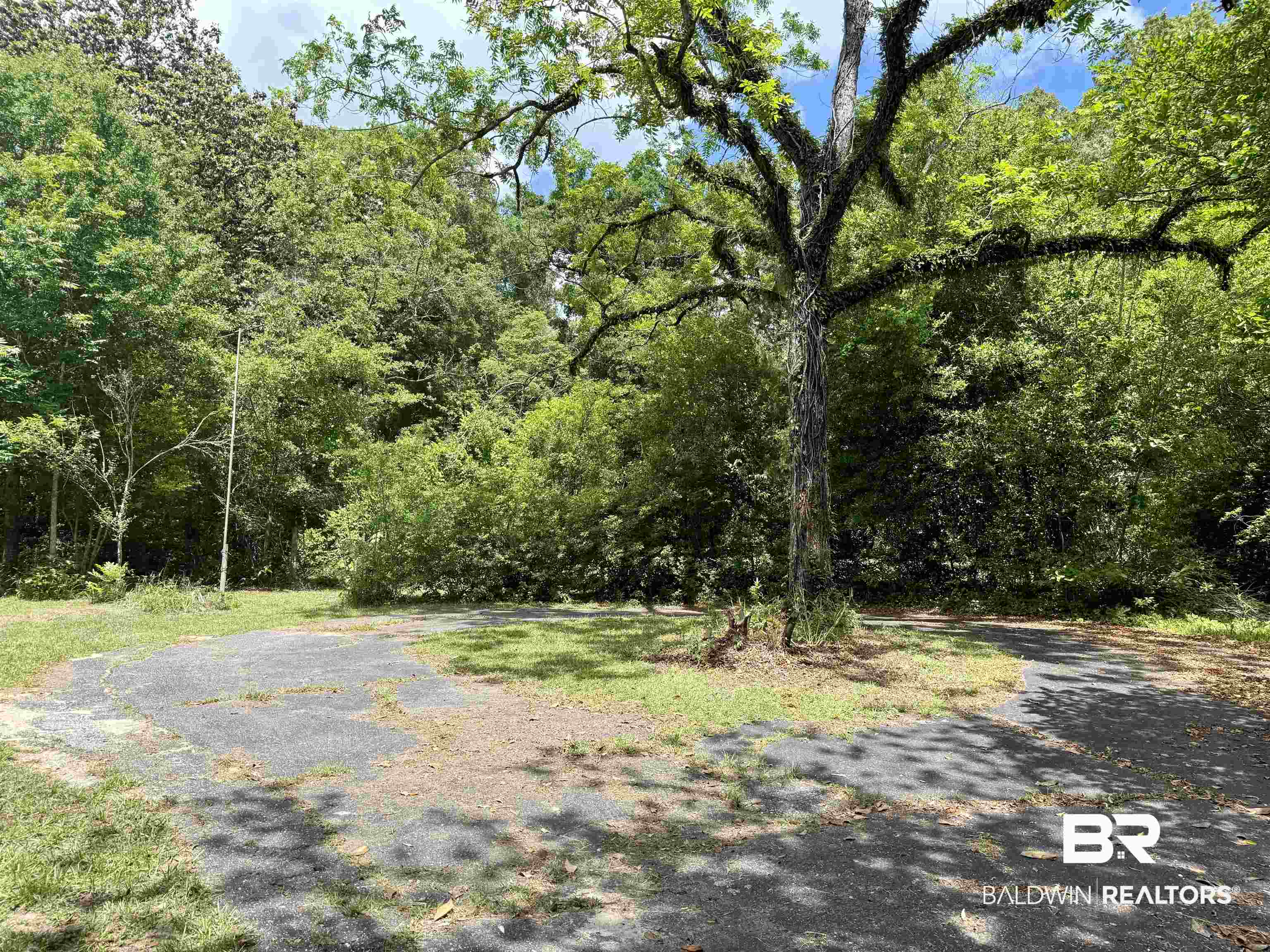 610 Alco Drive Brewton, AL 36426 - Photo 6 of 18 View of road featuring a forest view