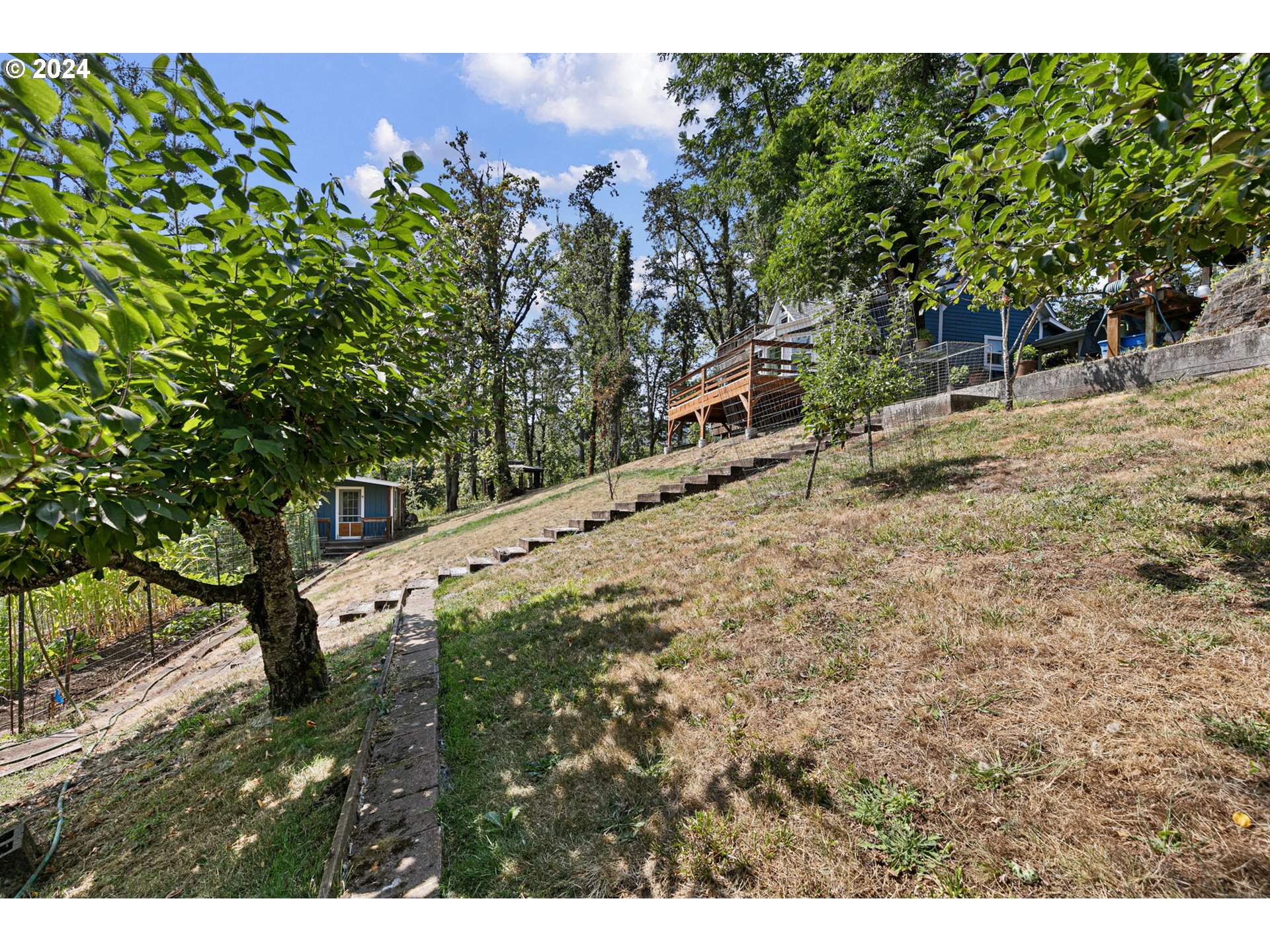 36248 Camp Creek Road Springfield, OR 97478 - Photo 39 of 48