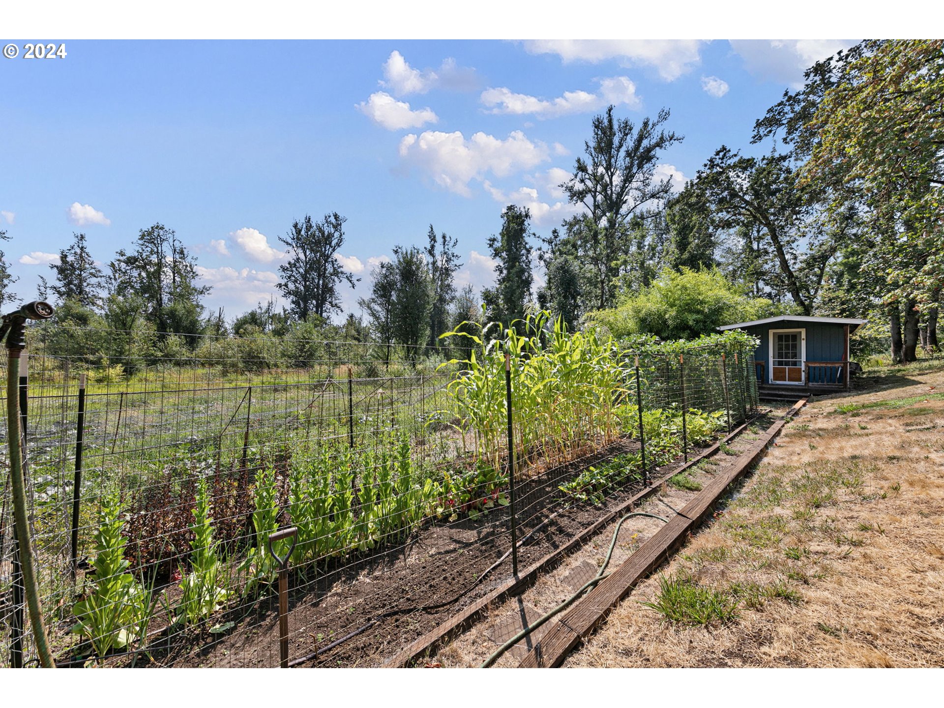 36248 Camp Creek Road Springfield, OR 97478 - Photo 41 of 48